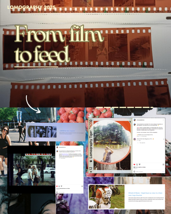 My LinkedIn / Internship Recap Post n°2